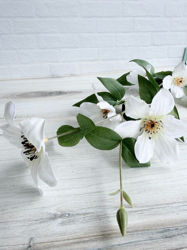 White Clematis Spray