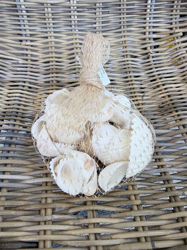 Seashells bowl filler