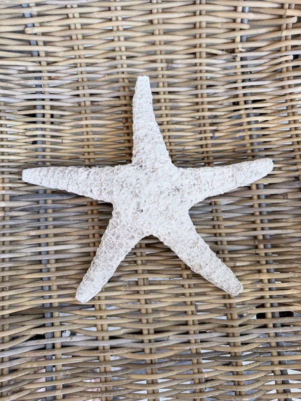 White Weathered Starfish