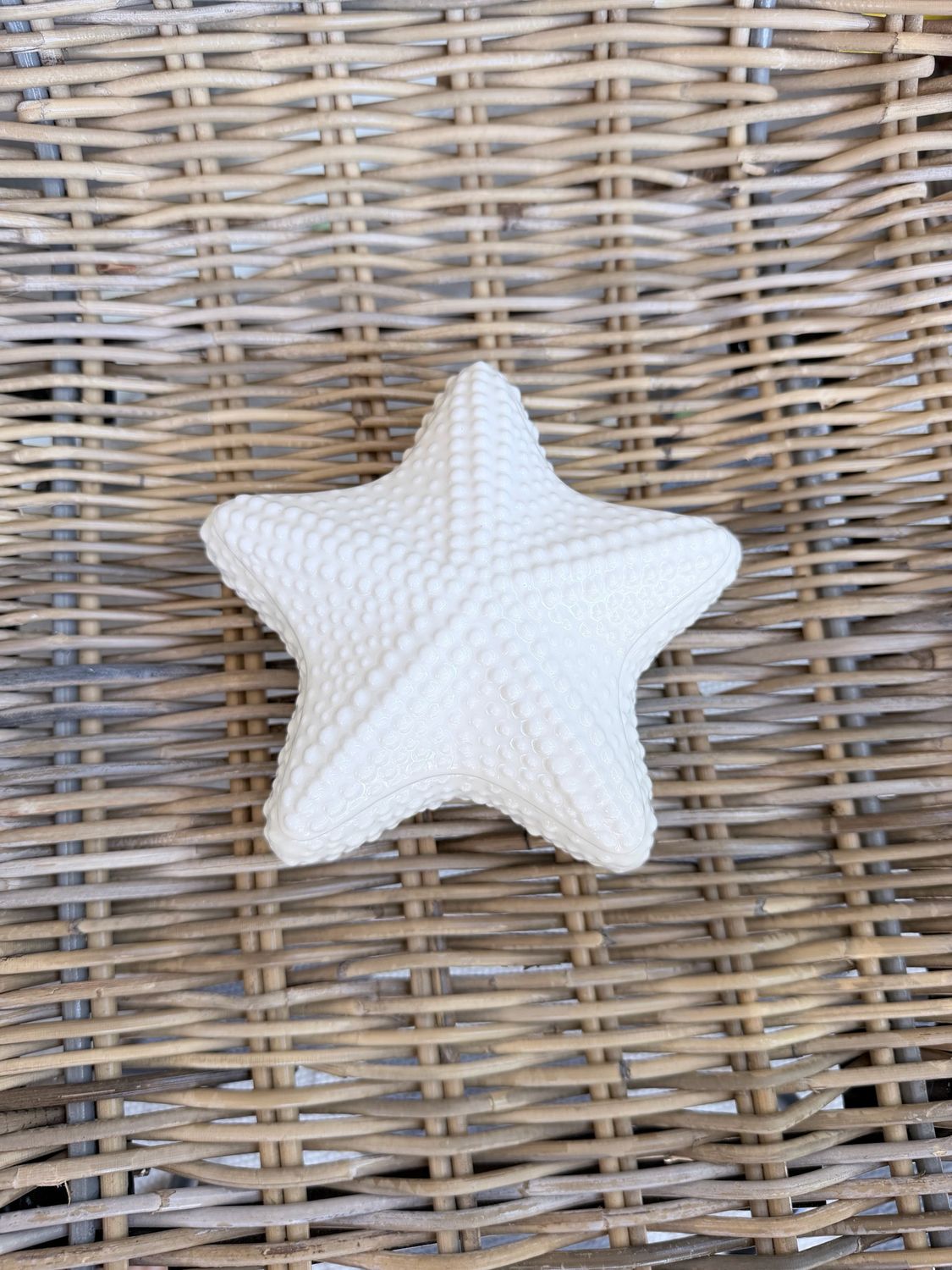 Starfish w/lid