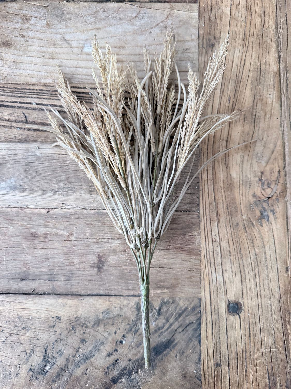 Wheat &amp; Grass Bush
