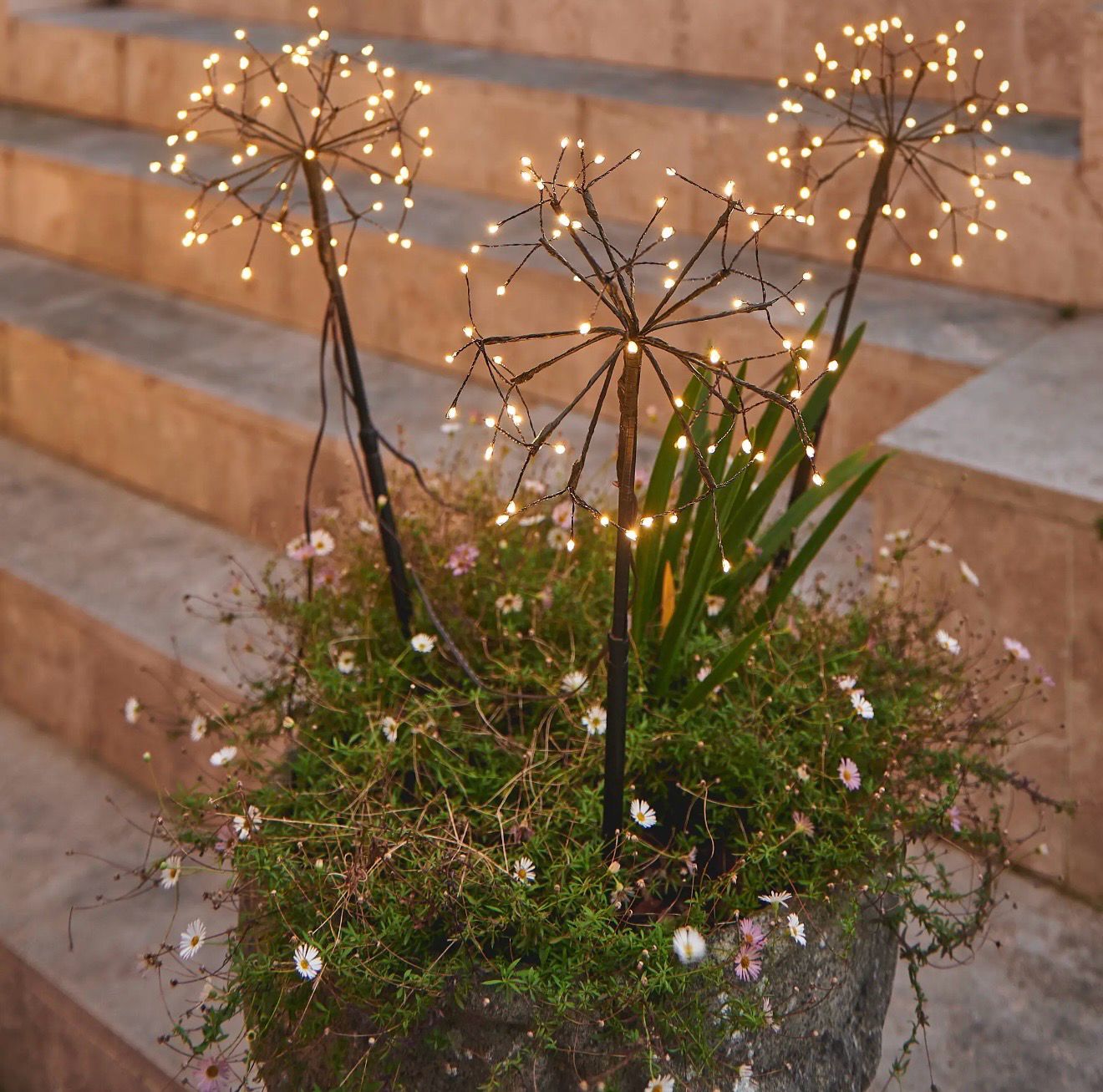Mini Dual Powered Dandelion Trio