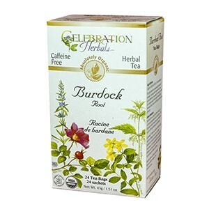 CELEBRATION Burdock Root 24 Tea Bags