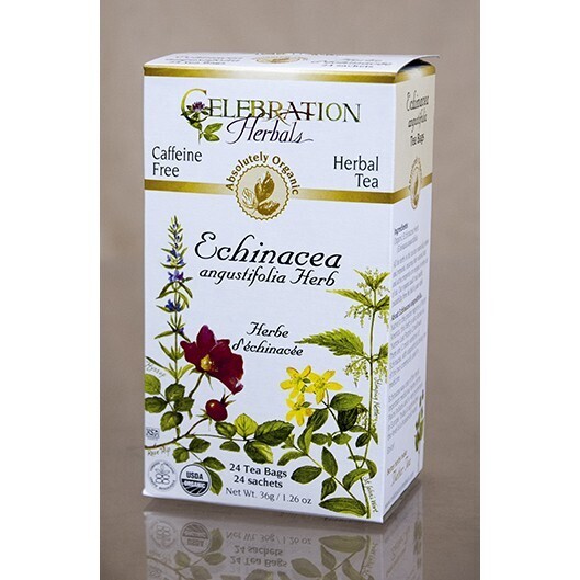 CELEBRATION Echinacea Augustifolia Herb 24 Tea Bags