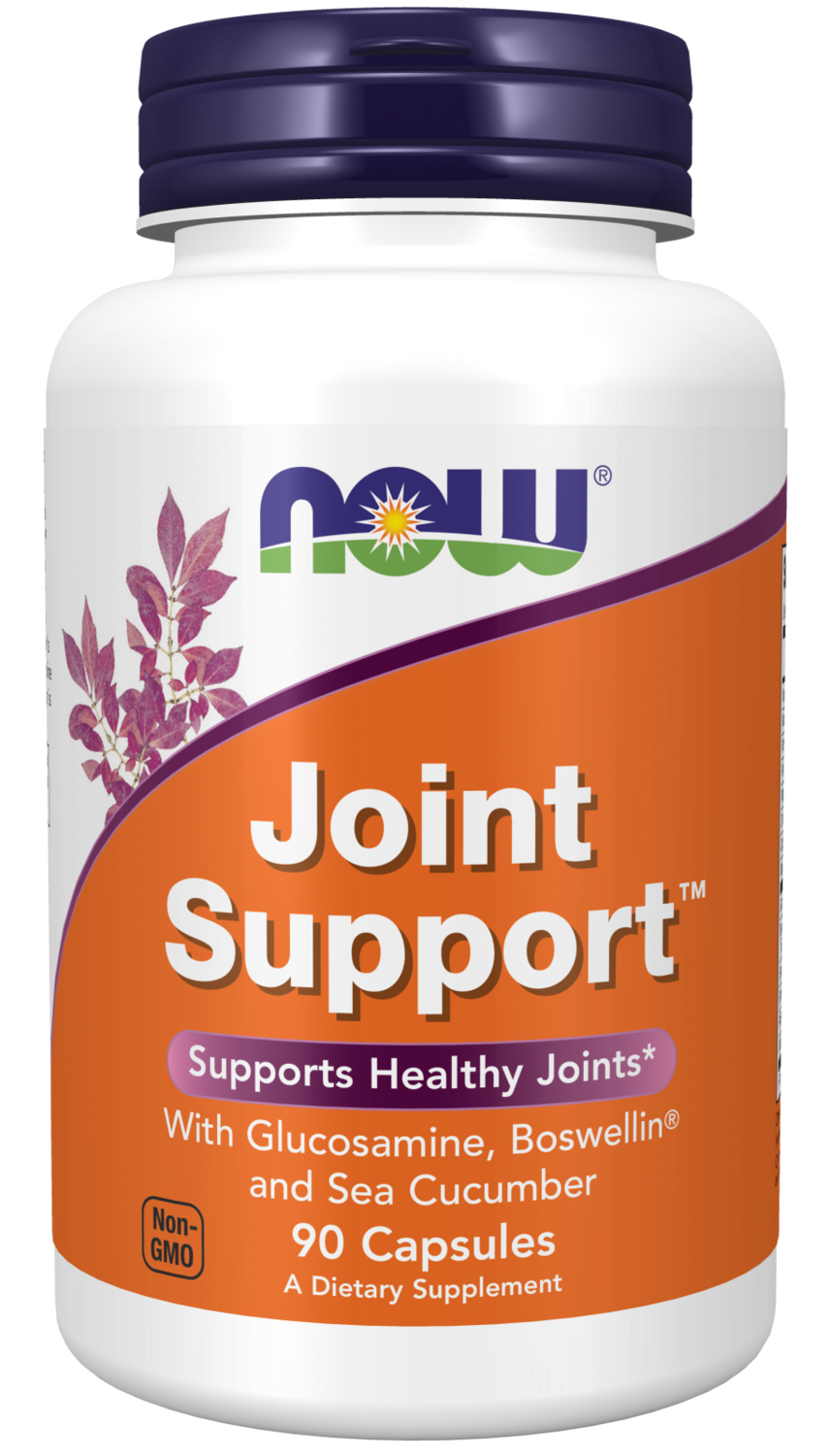 NOW Joint Support 90 caps