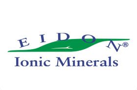 Eidon