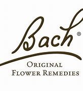Bach Remedies