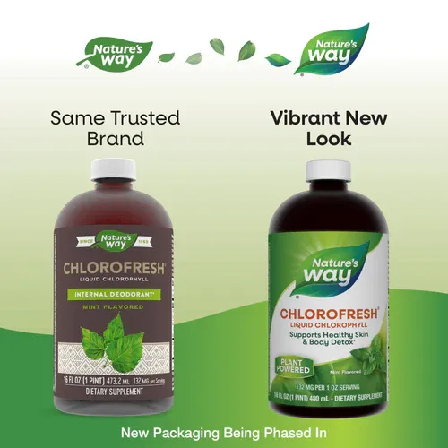 NATURE'S WAY Chlorofresh Mint Flavored Liquid 16 fl oz