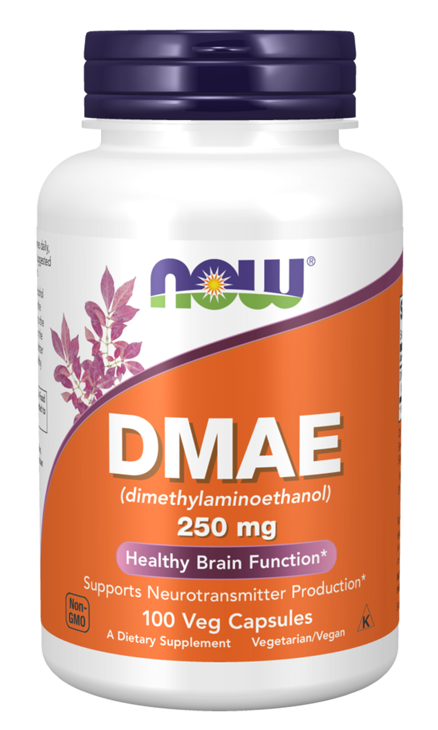 NOW  DMAE 250 mg 100 Veg Caps