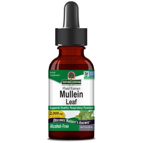 Nature&#39;s Answer AF Mullein Leaf Extract 2,000mg 1 fl oz