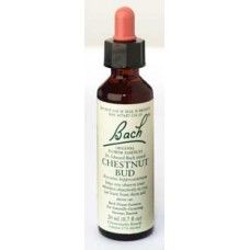 Bach Chestnut Bud 20 ml