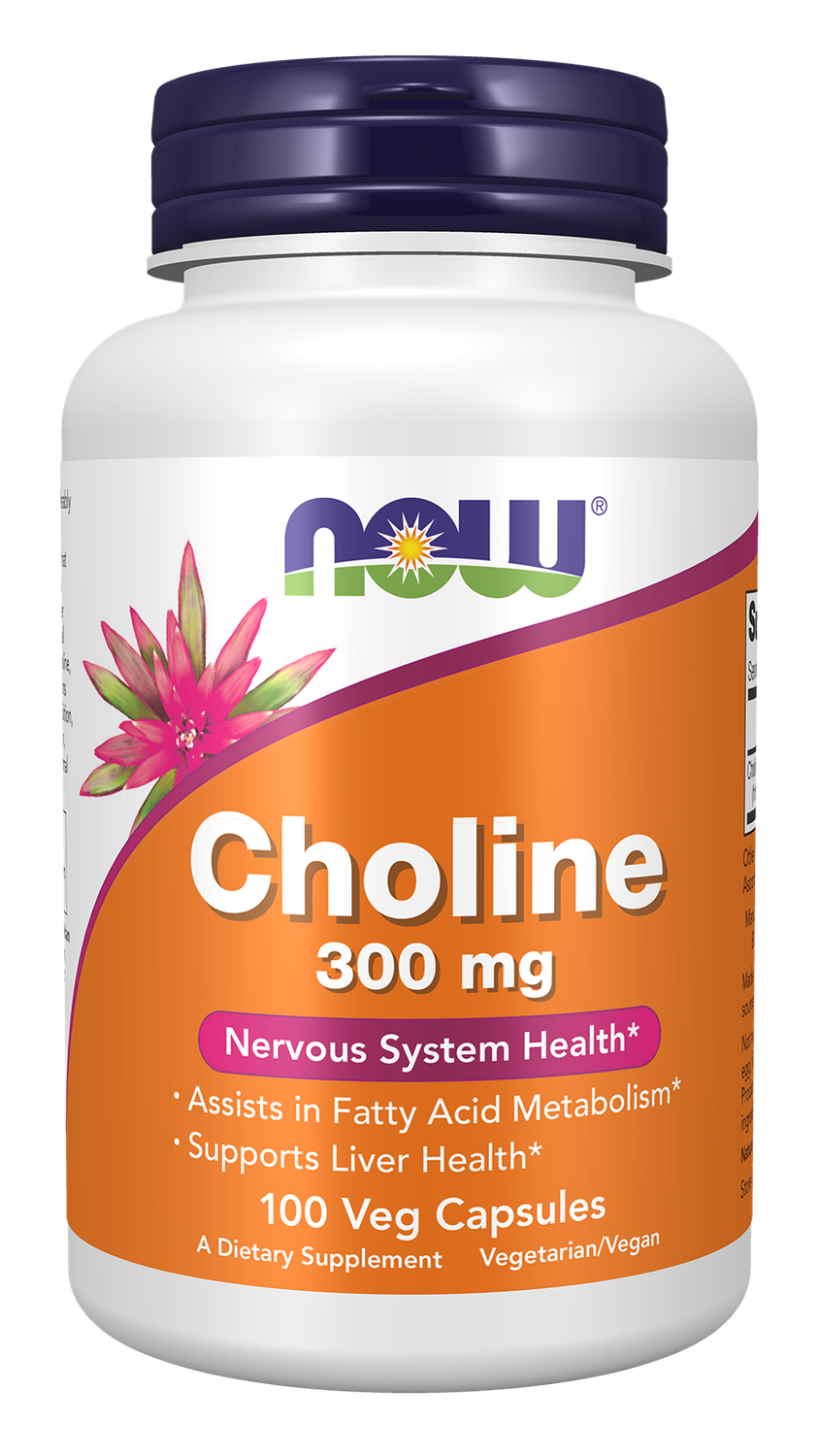 NOW Choline 300mg 100 veg caps