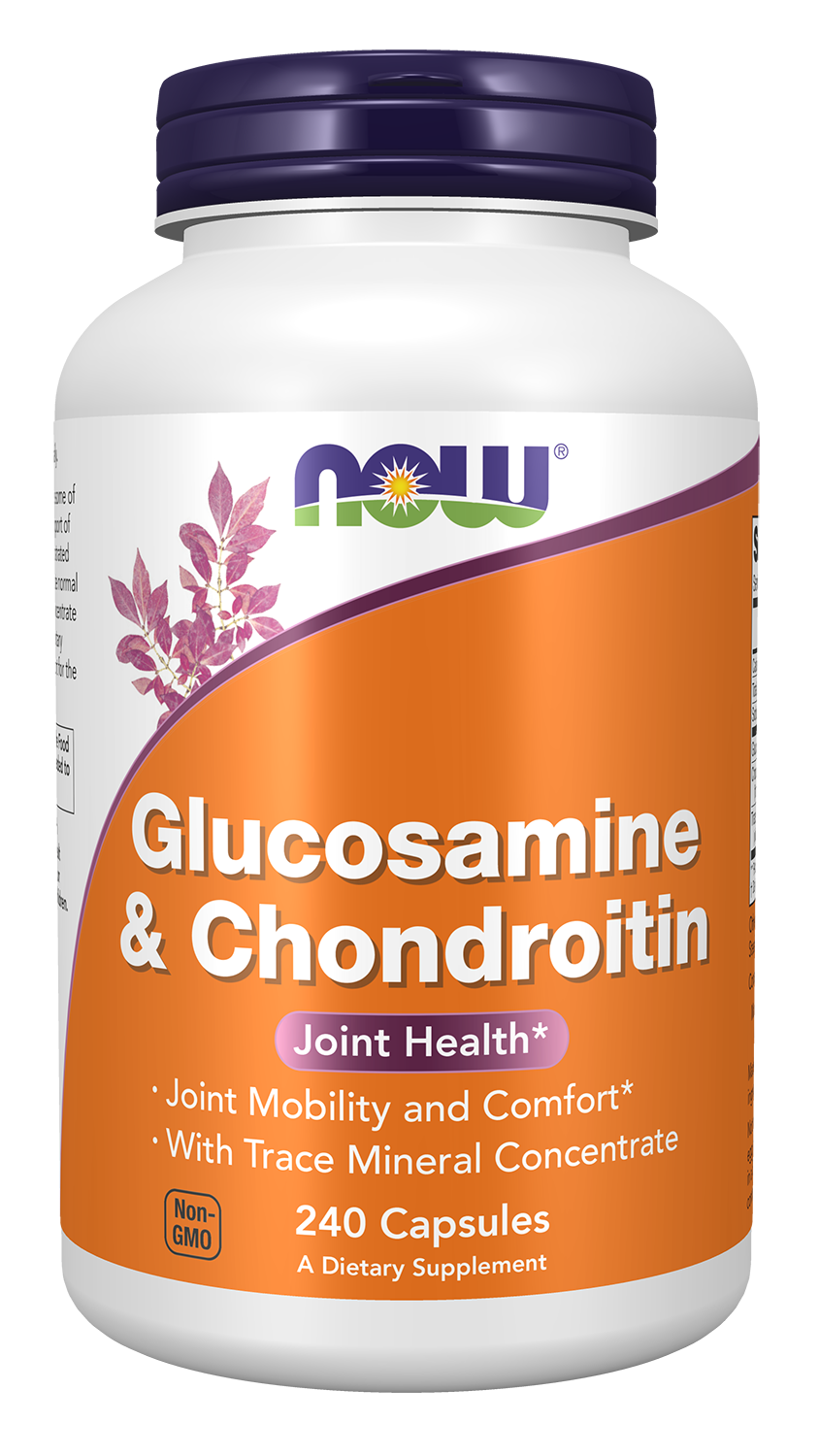 NOW Glucosamine &amp; Chondroitin 240cap