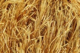 King Cole Tinsel Chunky Gold Shade 208