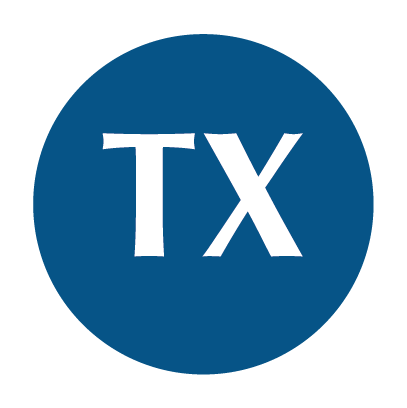 TX - TERNERA PICANTE (pack 5 unidades)