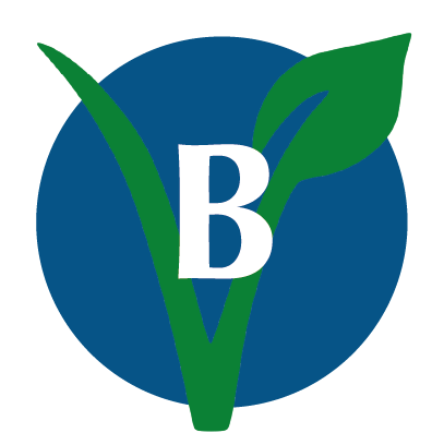 B - BERENJENAS (pack 5 unidades)
