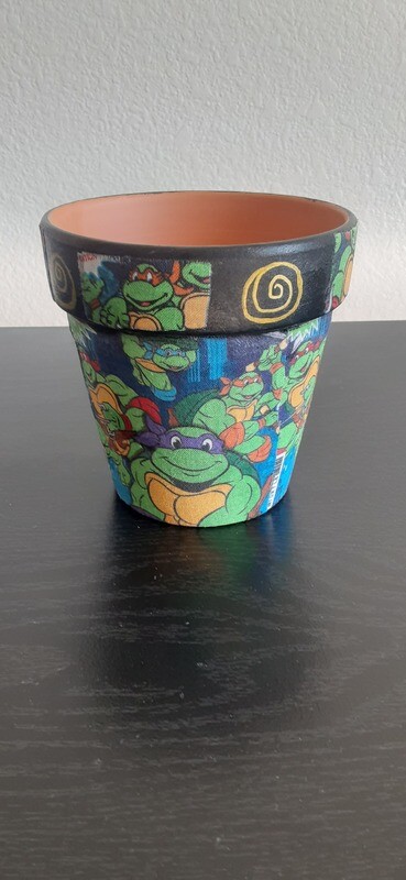 Ninja turtle terracotta pot planter