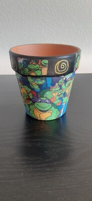Ninja turtle terracotta pot planter