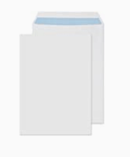 C4 Peel & Seal Envelopes Pack of 20