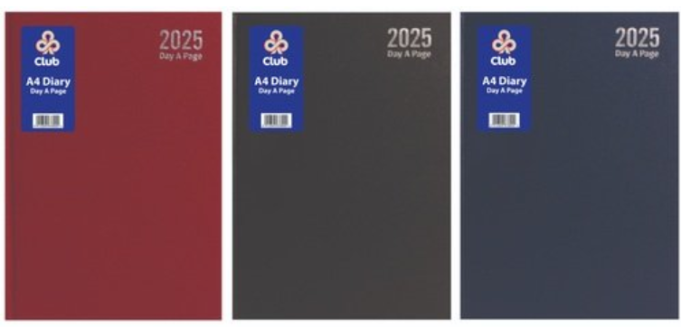 A4 Day a Page 2025 Diary