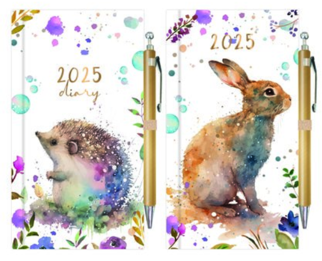Slim Diary with Pen WTV