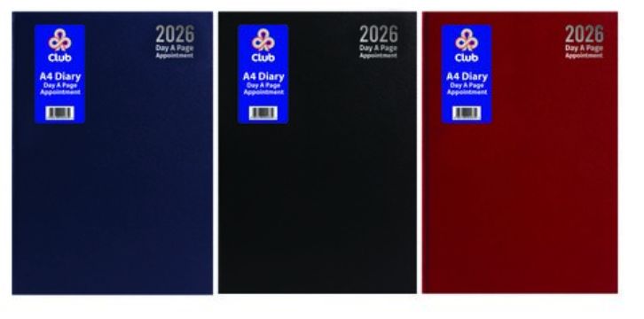 A4 Day a Page Diary