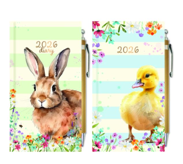 Slim Diary with Pen