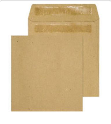 Plain Wage Envelopes  Pack of  10