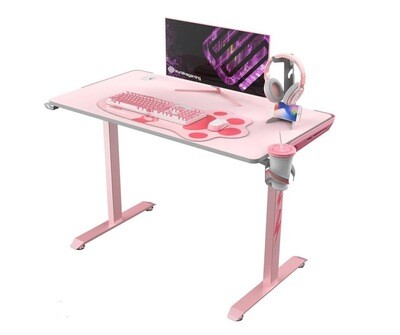 Pink Gaming Disk (used)