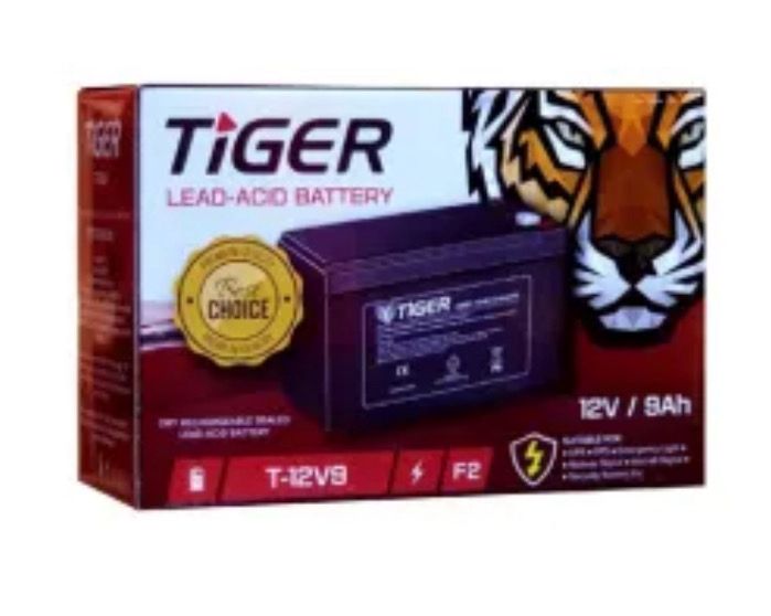 بطاريه Ups Tiger