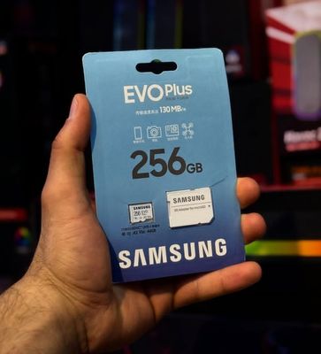 Samsung Ram Evo Plus 256GB