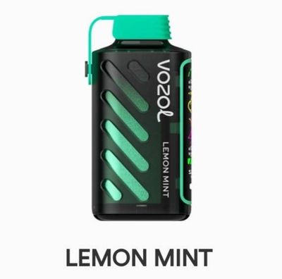 Vozol Gear Power Lemon mint 20.000 Puff