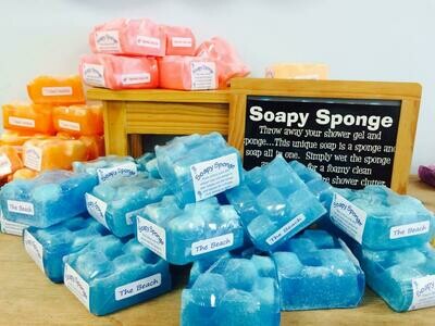 Soapy Sponge