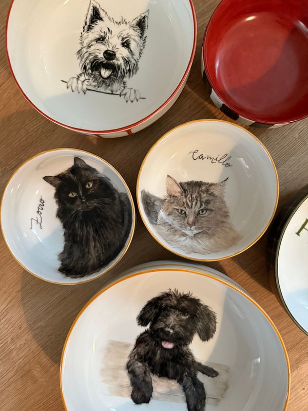 Personalisierte Näpfe für Hunde und Katzen