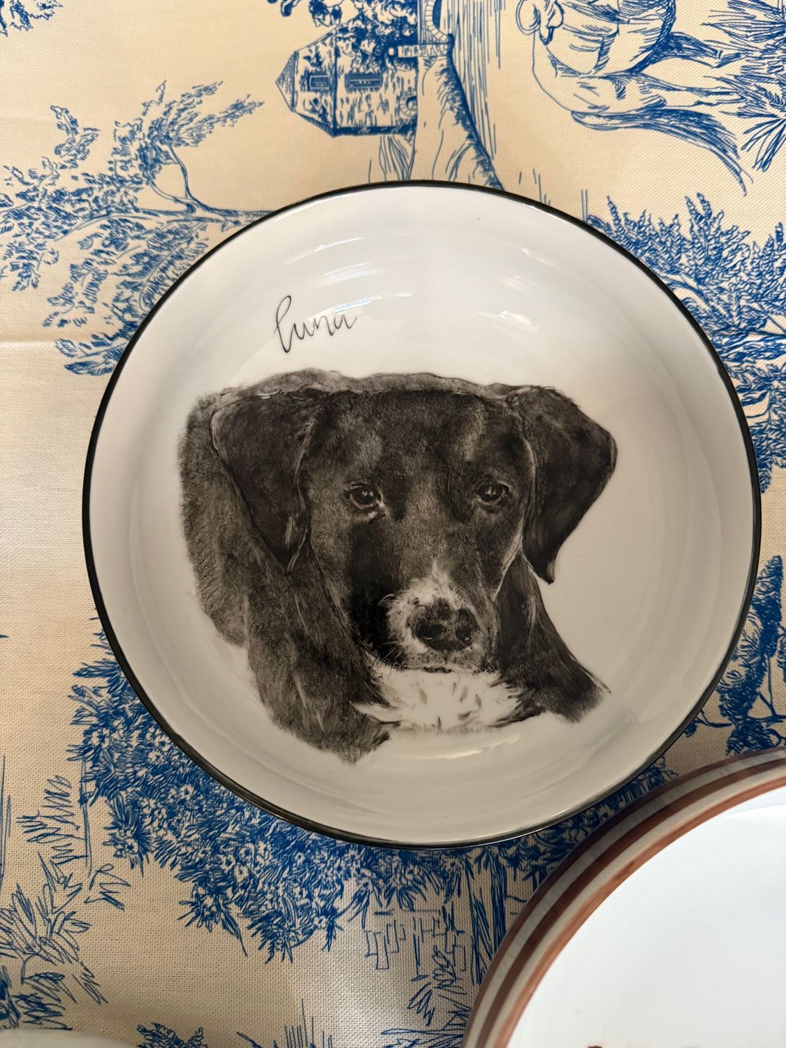 Gamelles personnalisées pour chiens et chats. Taille M. Diamètre : 17 cm