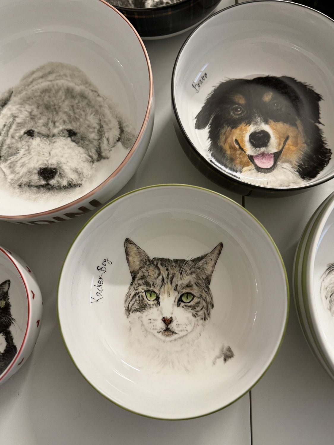 Gamelles personnalisées pour chiens et chats. Taille S. Diamètre : 13 cm