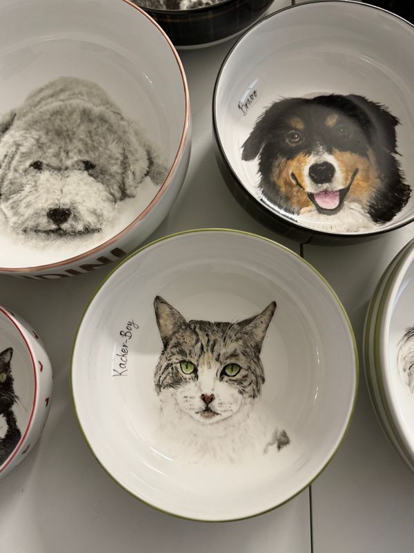 Boles personalizados para perros y gatos