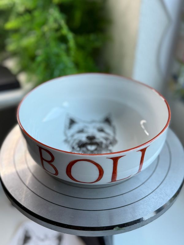 MA MASCOTTE. Gamelle pour chien/chat 17cmø. PET COLLECTION. Painte à la main