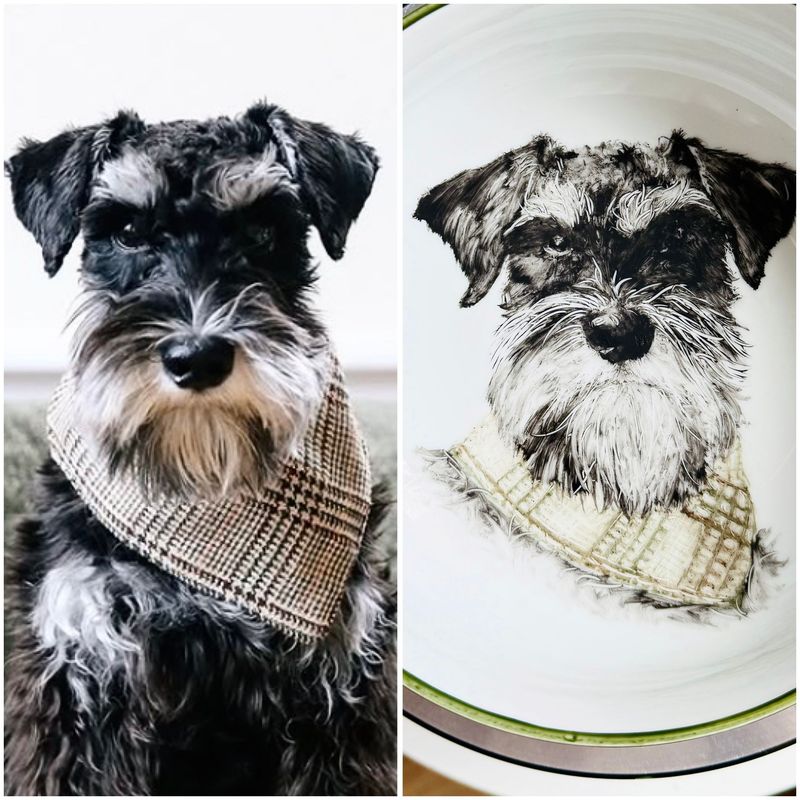 Gamelles personnalisées pour chiens et chats. Taille L. Diamètre : 21 cm