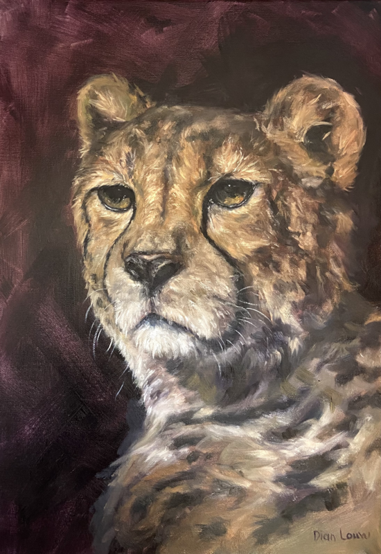 Cheetah