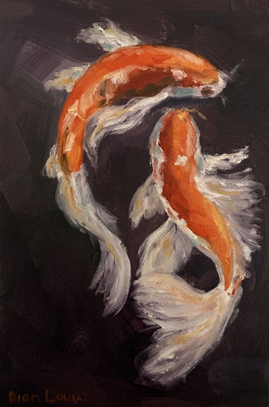 Koi