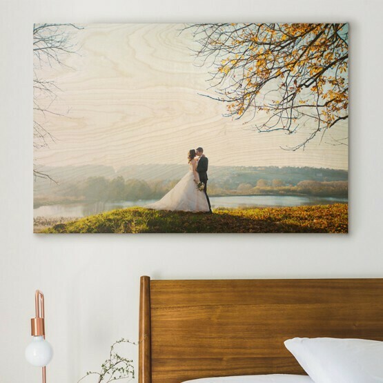 Plymount Frame