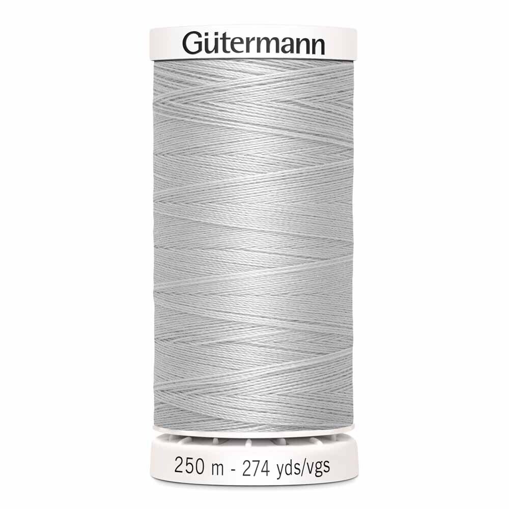 100 Silver