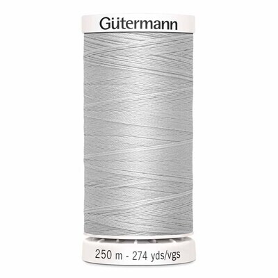 100 Silver