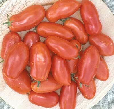 Grandma Mary's Paste (Red)