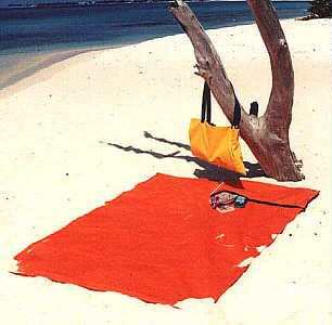 BeachThing Outdoor Mat/Bag