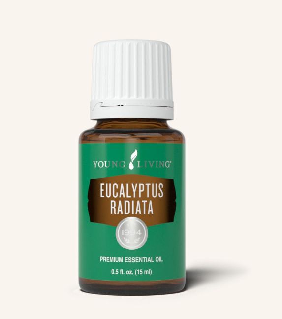 Eucalyptus Essential Oil