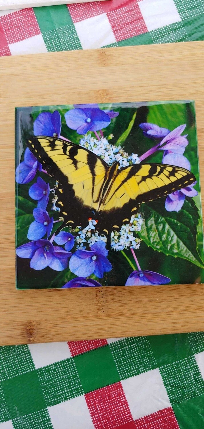 Ceramic Photo Tiles