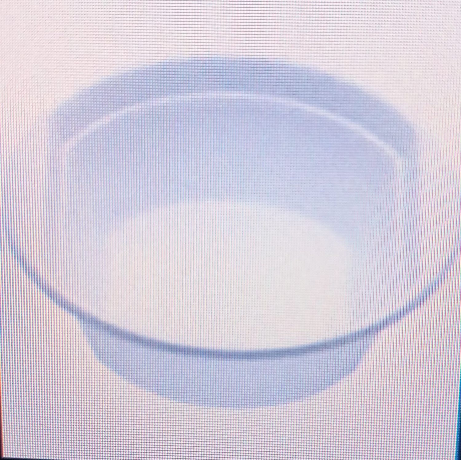 CIOTOLE PIATTO BIANCHE ISAP CC.670 PZ.50 *Prezzo iva esclusa