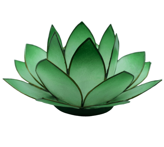 Lotus Licht | dunkles grün